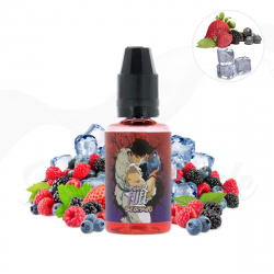 Arôme Concentré Seiryuto 30 ml Fighter Fuel